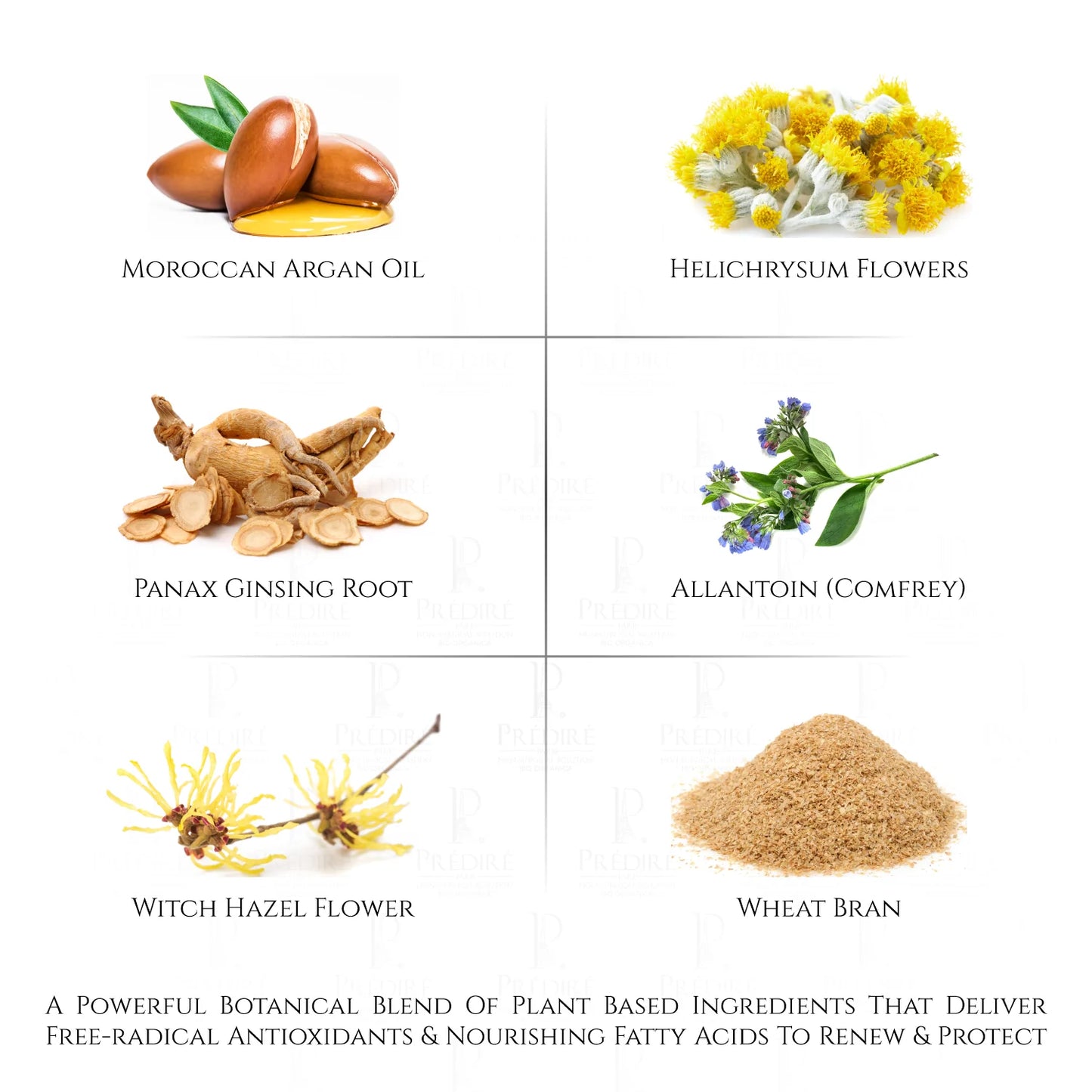 Noćni Serum za Obnovu Kolagenskih Vlakana Predire Paris