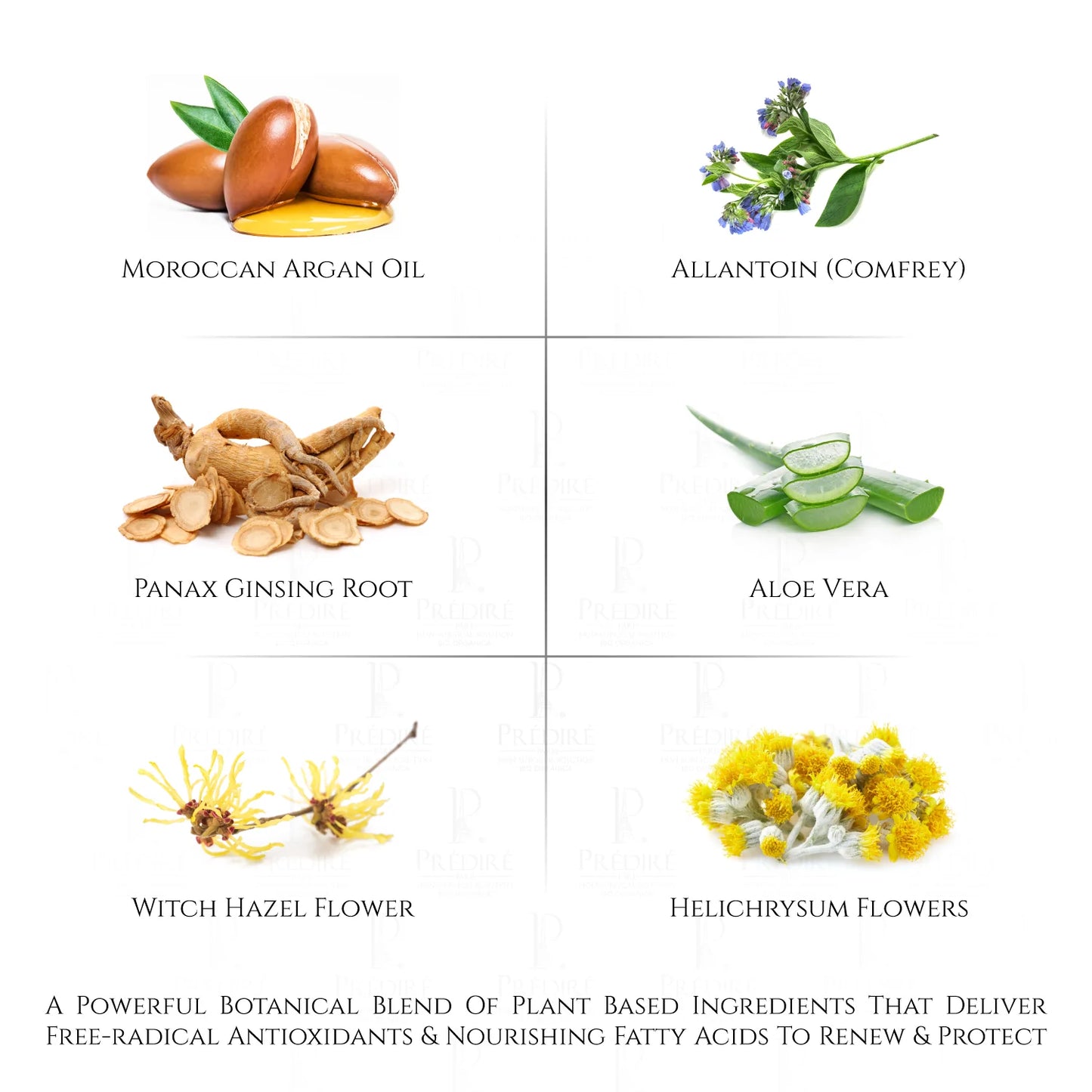 Detoks Maska za Obnovu Kolagenskih Vlakana Predire Paris